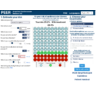 PEER Simplified Cardiovascular Decision Aid